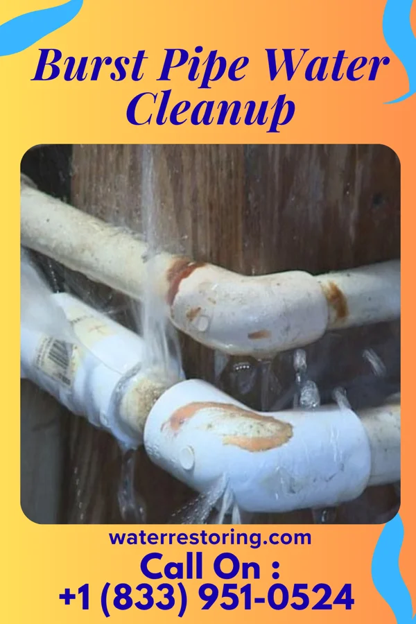 Burst Pipe Water Cleanup in Mount Blanchard, OH