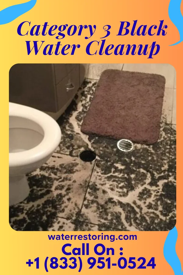 Category 3 Black Water Cleanup in Mount Blanchard, OH