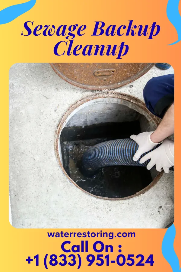 Sewage Backup Cleanup in Mount Blanchard, OH