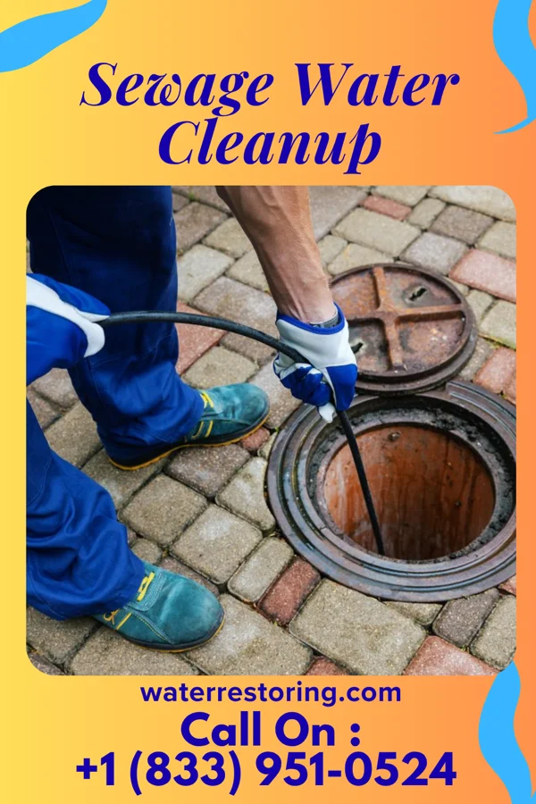 Sewage Water Cleanup in Mount Blanchard, OH