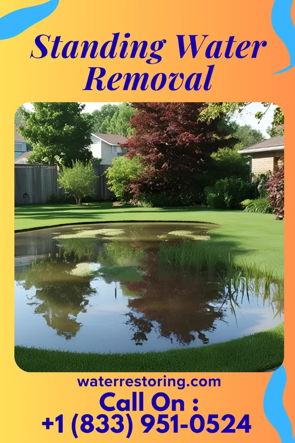 Standing Water Removal in Mount Blanchard, OH